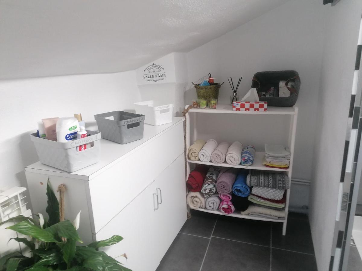 Chambre 23M2 Avec Jardin Wi-Fi Gratuit Saint-Girons Lägenhet Exteriör bild