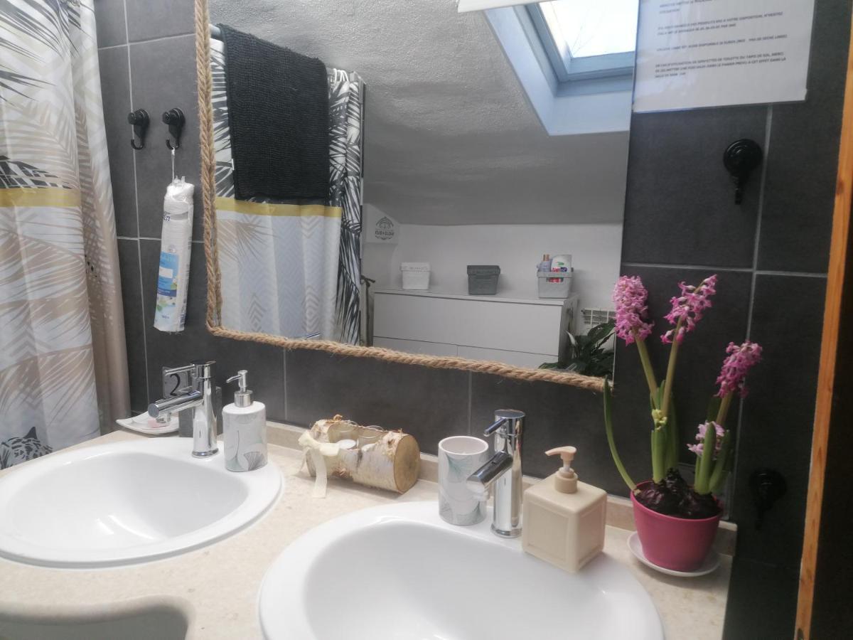Chambre 23M2 Avec Jardin Wi-Fi Gratuit Saint-Girons Lägenhet Exteriör bild