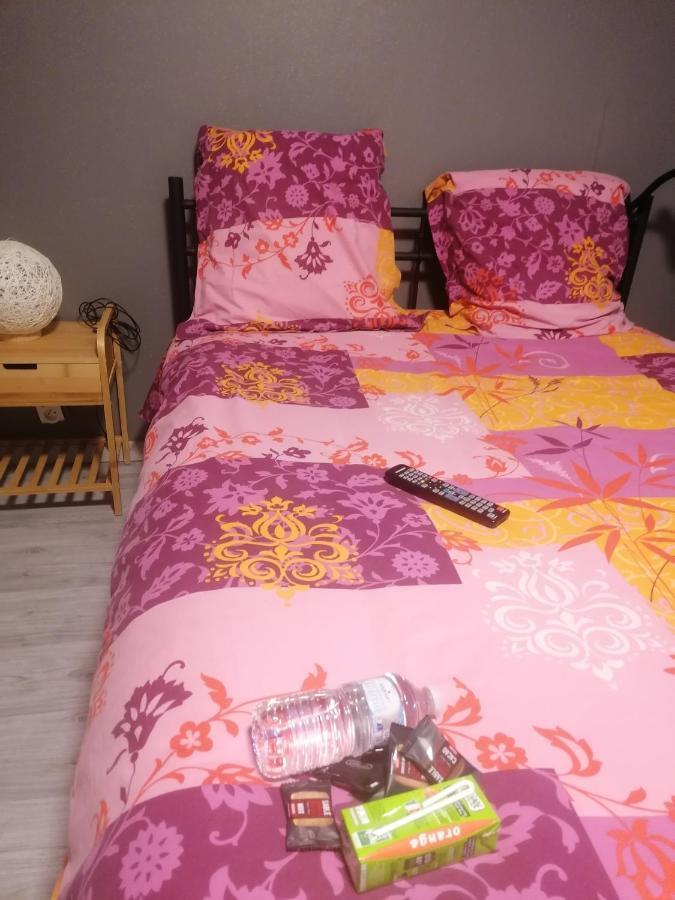 Chambre 23M2 Avec Jardin Wi-Fi Gratuit Saint-Girons Lägenhet Exteriör bild