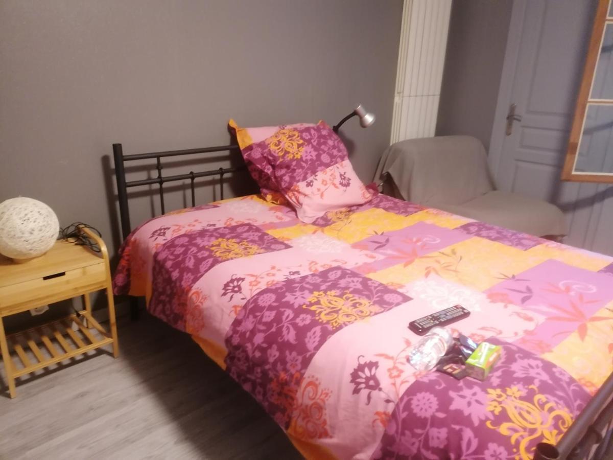 Chambre 23M2 Avec Jardin Wi-Fi Gratuit Saint-Girons Lägenhet Exteriör bild